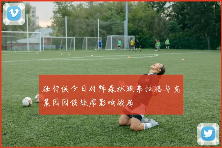 独行侠今日对阵森林狼弗拉格与克莱因因伤缺席影响战局