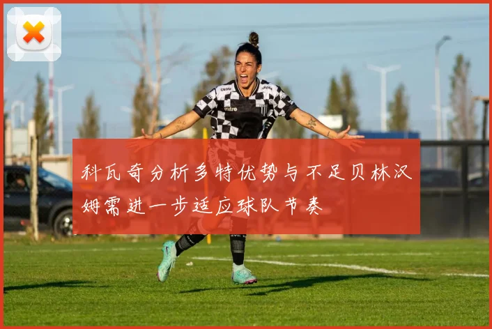 科瓦奇分析多特优势与不足贝林汉姆需进一步适应球队节奏