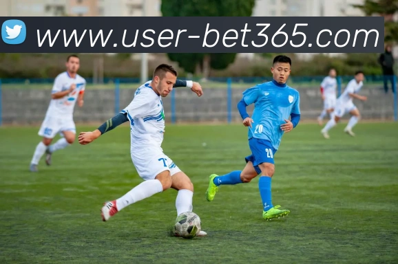 bet365平台生态图