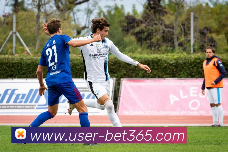登录器